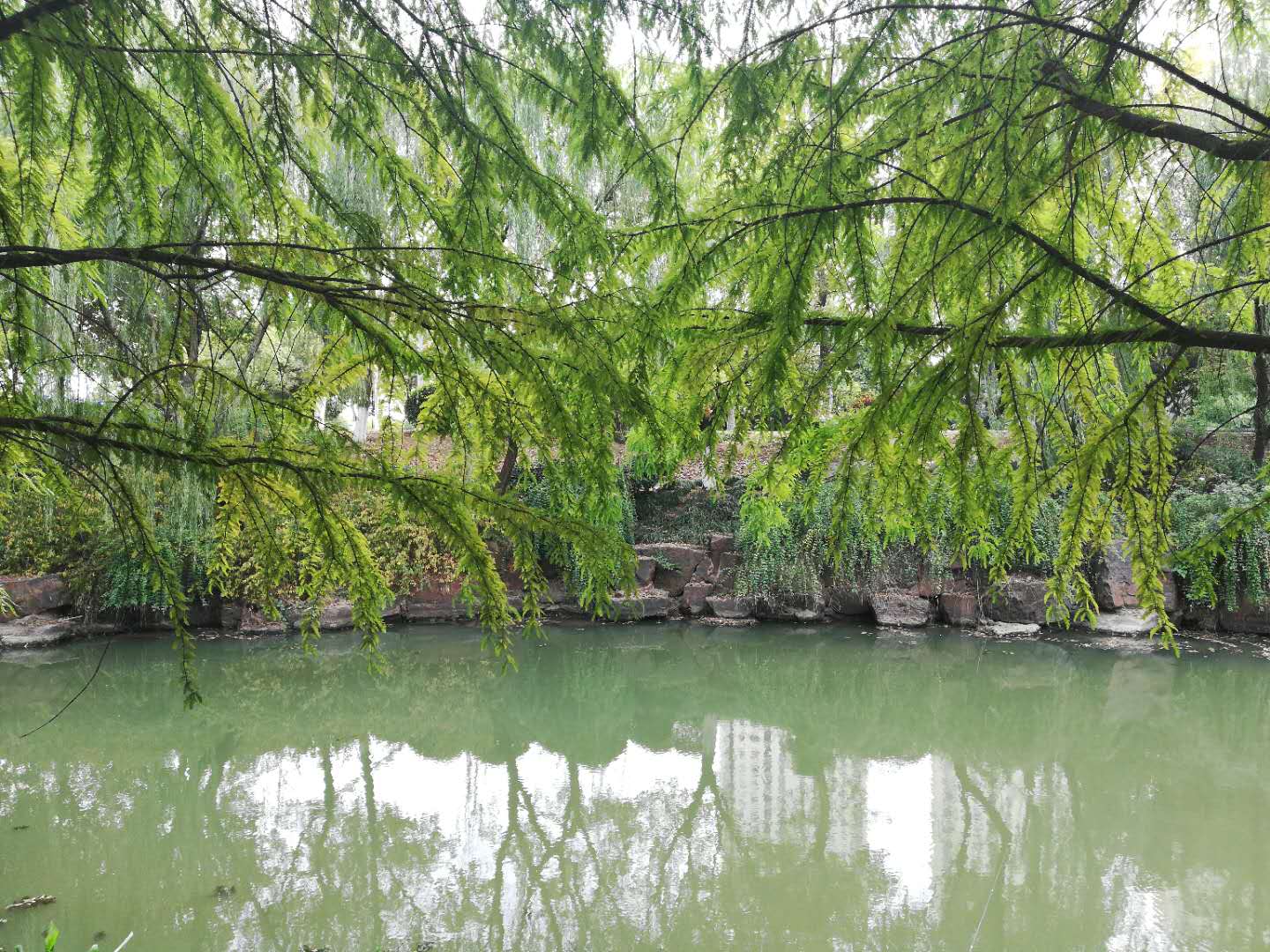 徒步无锡古运河寻找美景,无锡最美沿太湖路线