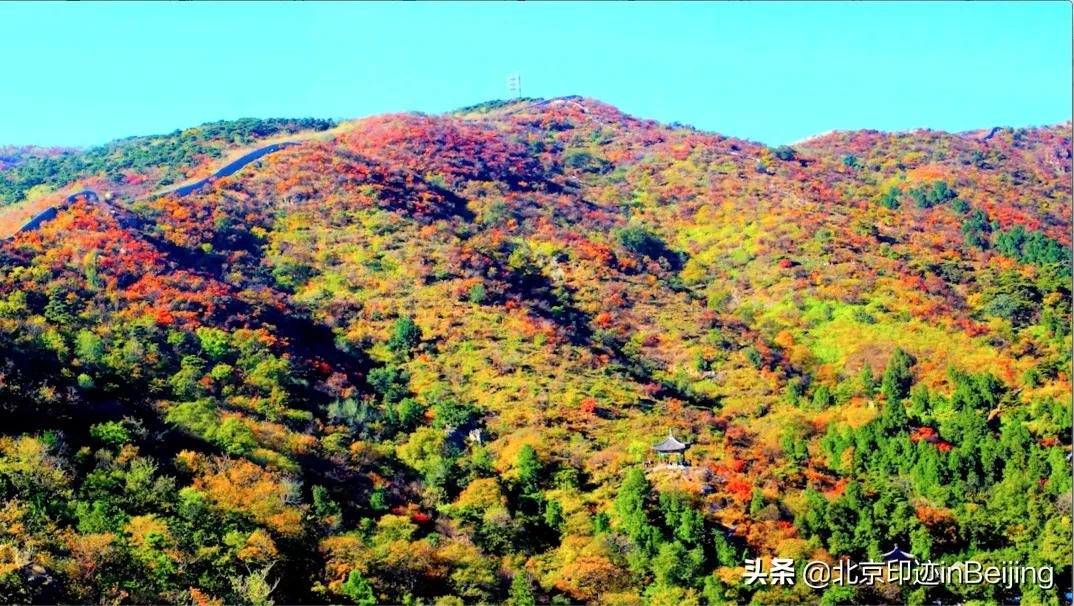 香山静宜园图片大全,香山静宜园二十八景