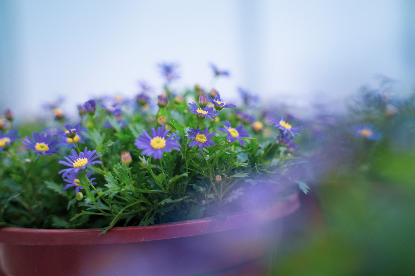 不仅仅是皮革,海清潮静——海宁