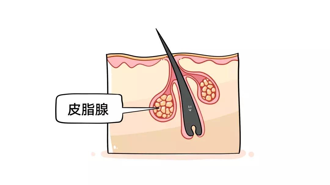 十年长痘史一直反复未治愈过,10年痘痘还能治疗吗