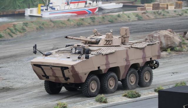 照猫画虎可以做什么,照猫画虎能成功吗