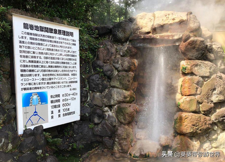 葵葵点评佐贺县,葵葵测评地狱蝗虫