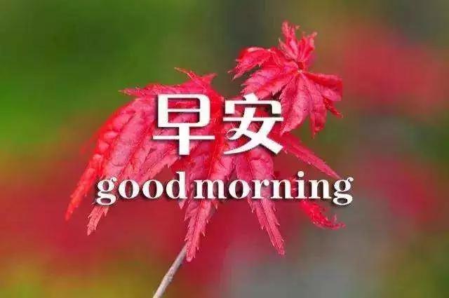 健康是自己的只有自己才珍惜,一段健康的友情真的很重要