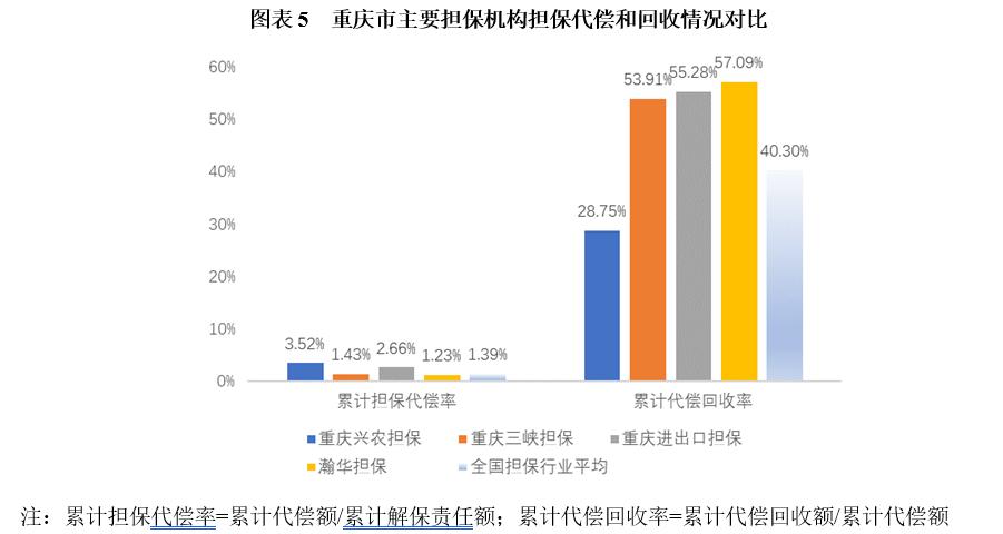 重庆渝中区担保公司,重庆担保行业监管