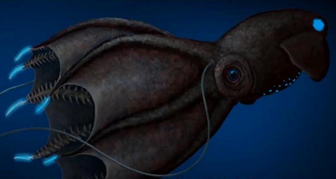 史前深海最可怕的生物,真实存在的深海怪异生物