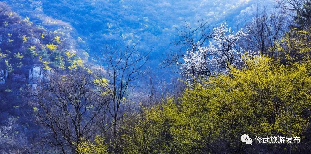 修武，向全世界发出邀请！这个古老的小城，原来可以这么美（惊艳版）