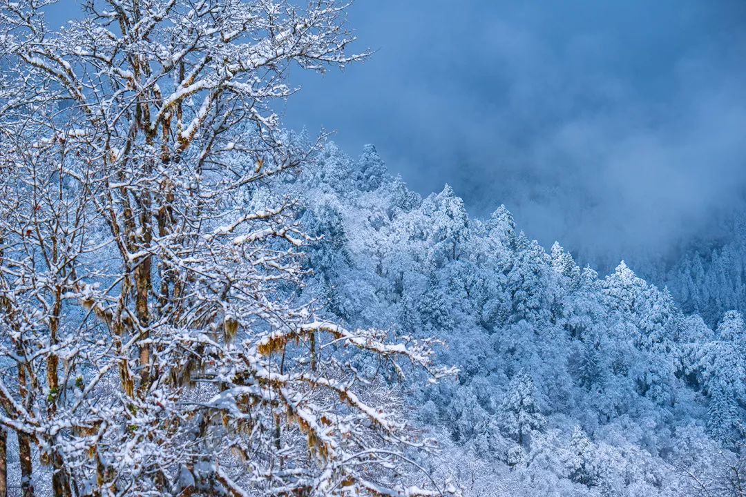 成都附近看雪一日游推荐表,成都周边轻徒步玩雪一日游