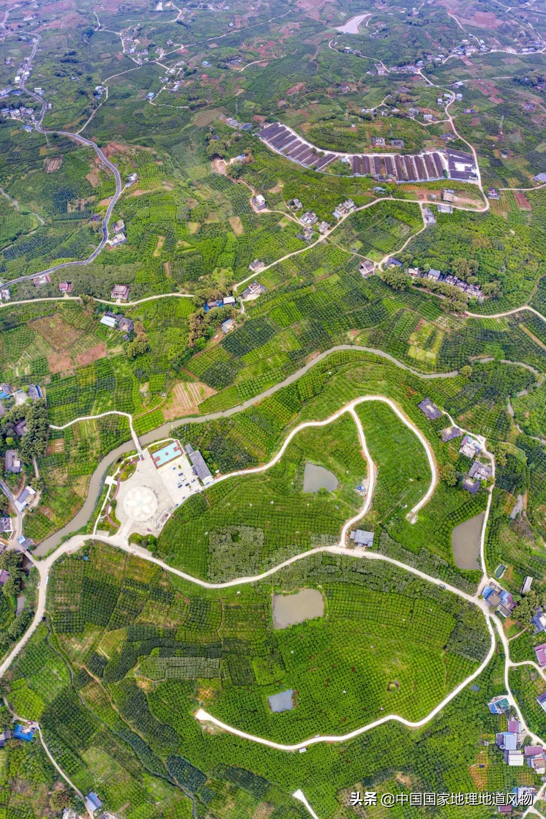 江西vs湖南哪个更能吃辣,江西和湖南pk辣椒