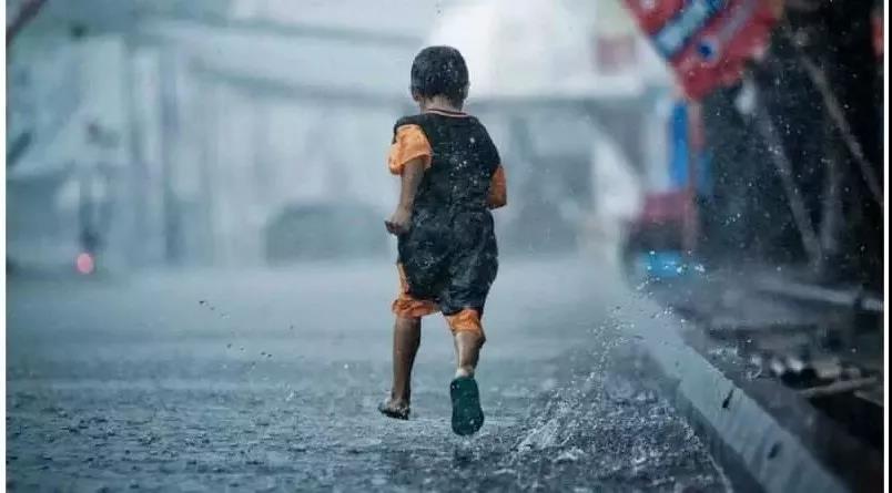 没有伞的孩子只能努力奔跑书籍,没有伞的孩子应该努力奔跑