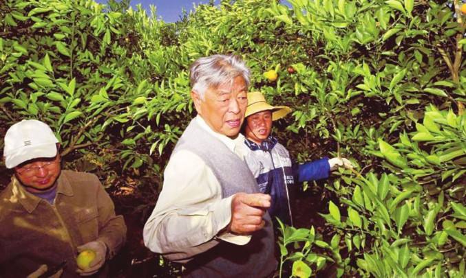 褚橙营销现状及案例分析,褚橙的销量2个亿是真的吗