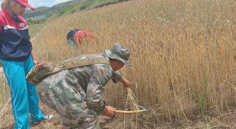 夏令营对身体的影响,不参加夏令营对保研影响大吗