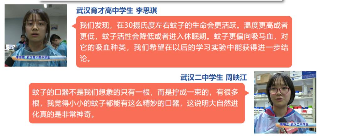 自然科学实验与创新课题,生态课题研究方案