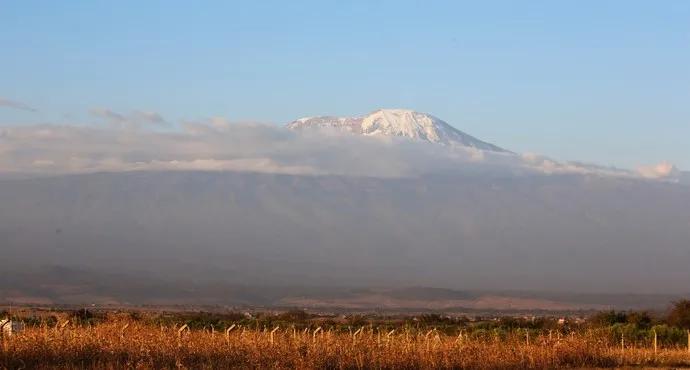 坦桑尼亚之旅,坦桑尼亚东非草原