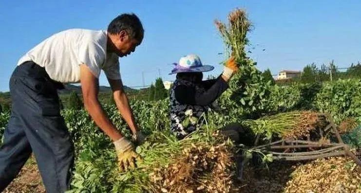 紧急提醒这些人务必第一时间就诊,紧急通知全员归队