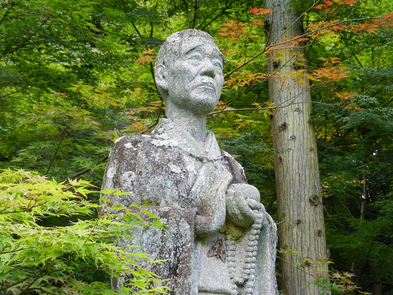 这个童年里的小光头，不只是你小时候想得那么简单「083期」