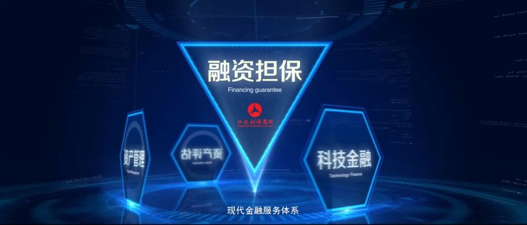 重庆市兴农担保集团,重庆兴农担保集团