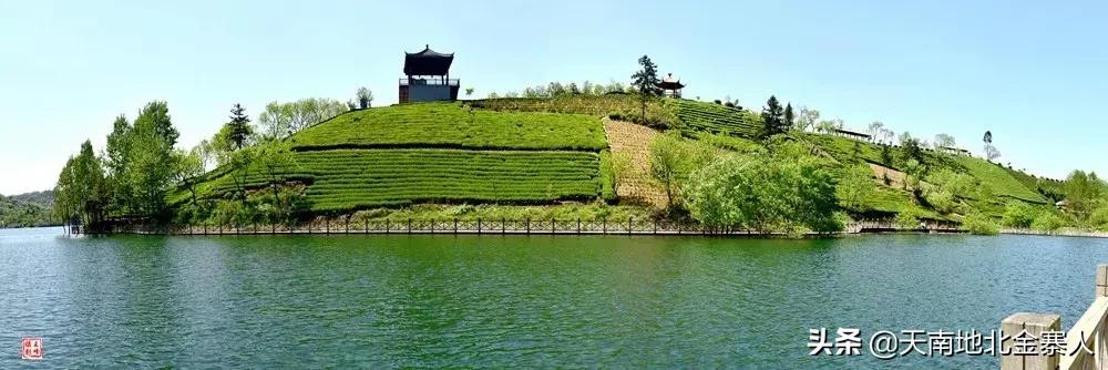 五百里茶谷,五百里茶谷图片