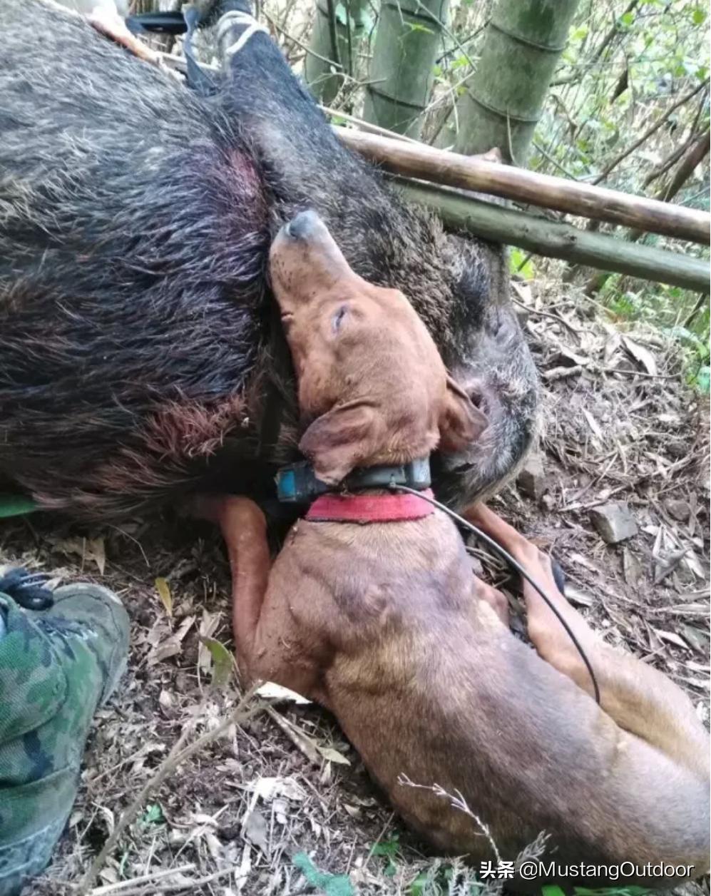 浅谈教学心得体会,浅谈心得