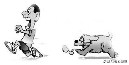 猫狗咬伤急救常识视频,东莞猫狗咬伤观察法