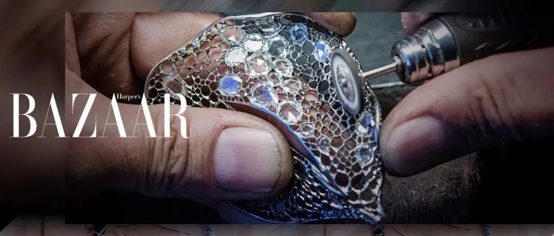 蝴蝶高级珠宝首饰,精美的蝴蝶珠宝