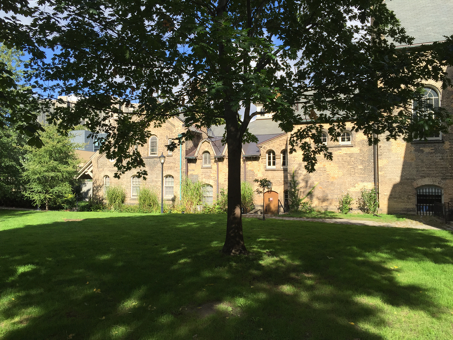 加拿大遣返中国留学生,华人在加拿大留学被遣返