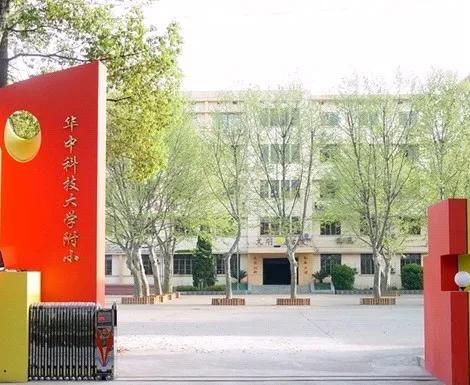教育好的小学排名,教育板块比较好的学校
