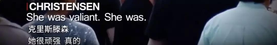 章莹颖案件的故事,章莹颖案件纪录片完整