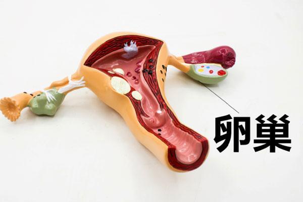 月经周期45天正常吗,月经周期25天正常吗