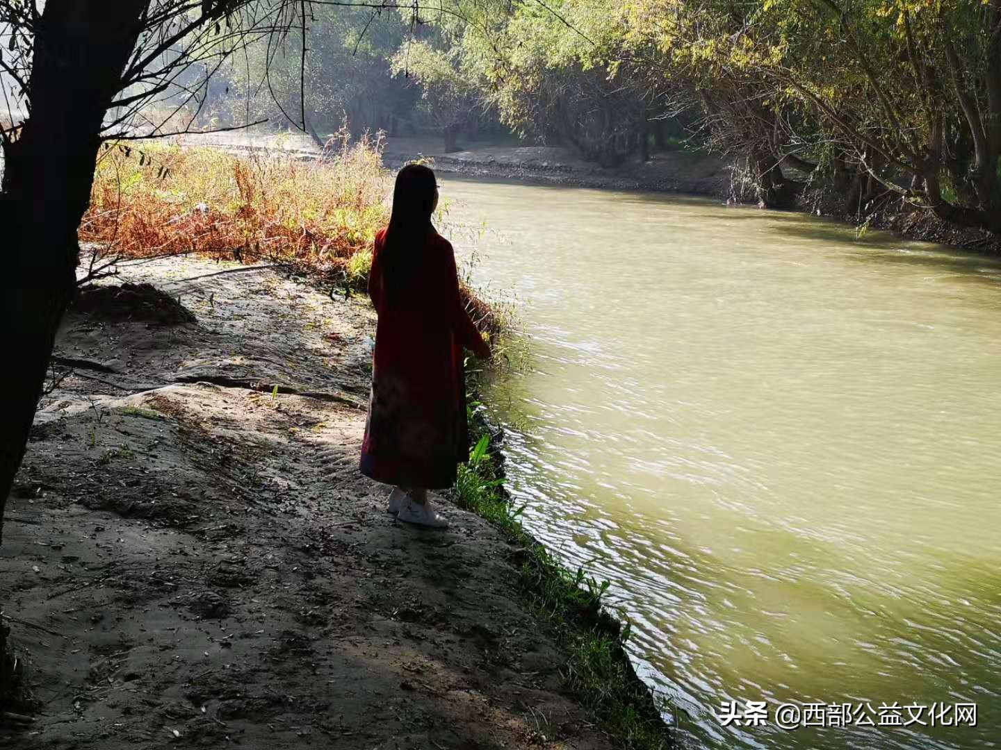 金苹果，是河西走廊一颗璀璨的明珠