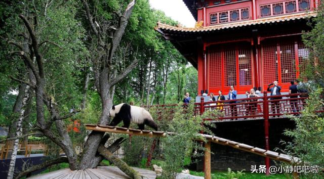 你不知道的国家冷知识捷克,你不知道的国家冷知识立陶宛