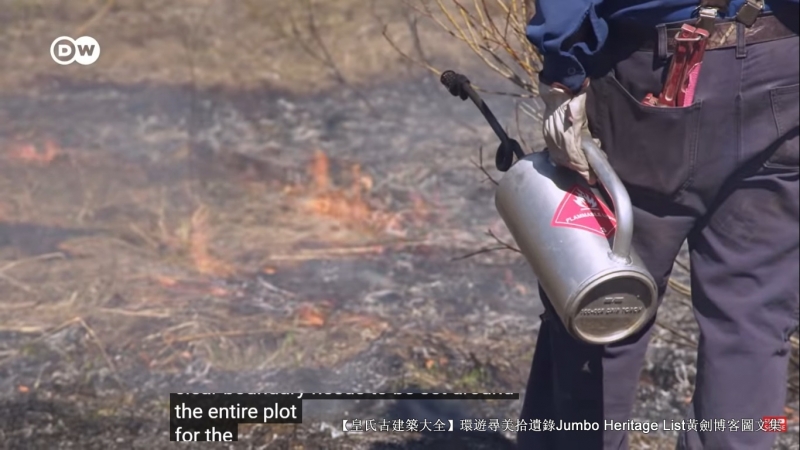 第4027回：气候*弹炸**亚洲纸浆，水上烟泥炭地退化