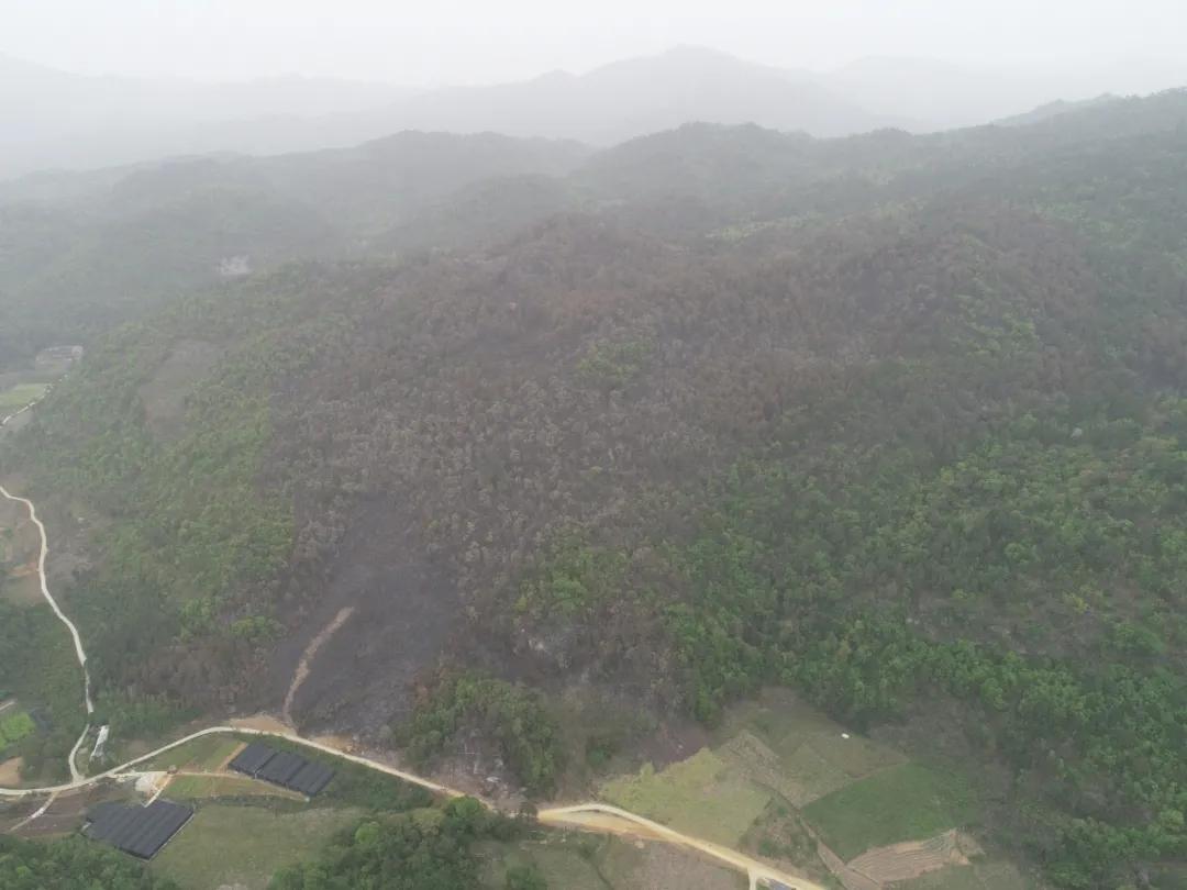 清明拜山发现坟头被推平后续,清明拜山事件