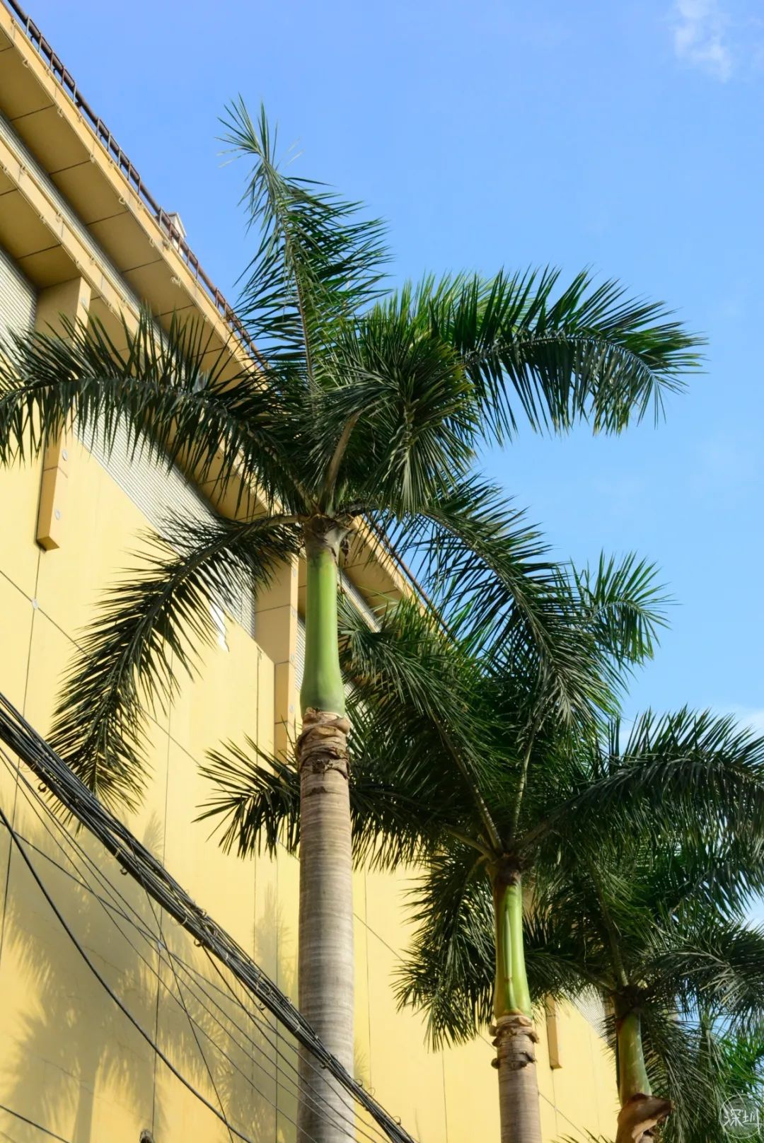 绂忔案鍦ㄥ疂瀹夌殑缁忔祹鍦颁綅,娣卞湷瀹濆畨绂忔案璐㈠瘜鎺掑悕