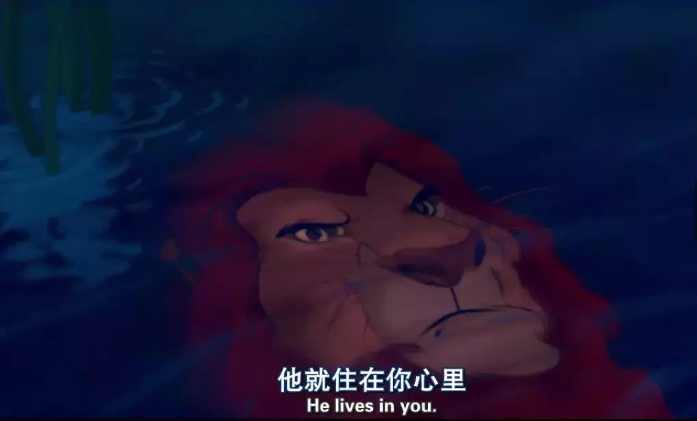 真实版的狮子王,现实版狮子王比想象的更残酷