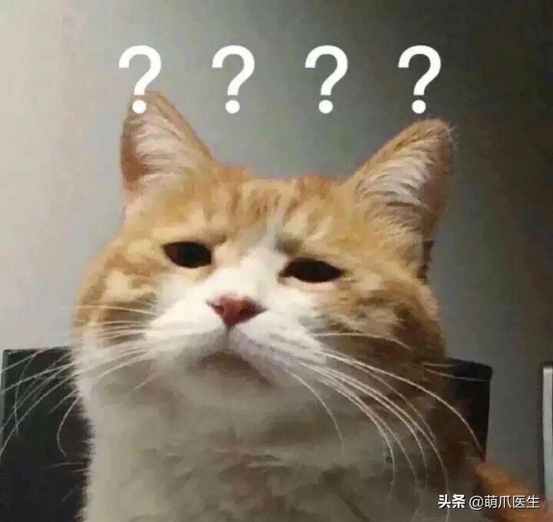 用了五年的饮水机,用了饮水机猫咪喝水量增多