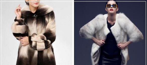 衣赠貂裘之——人们为什么喜欢貂皮大衣