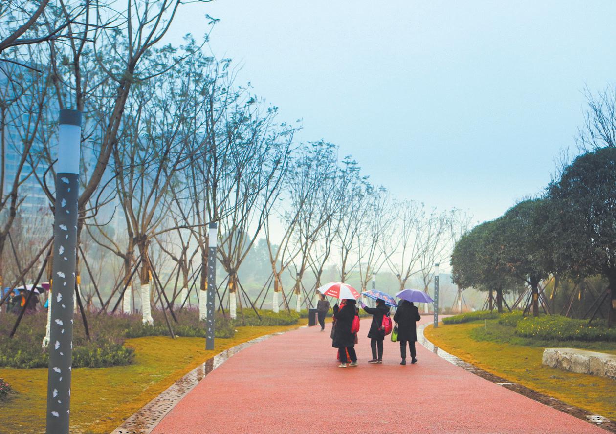 锦城湖绿道桥,锦城绿道多少个桥