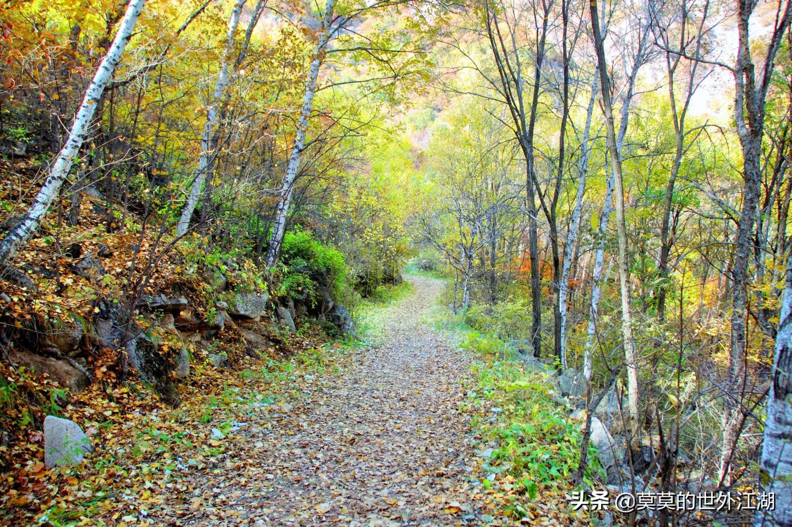 北京市怀柔区喇叭沟原始森林公园,北京怀柔喇叭沟景区