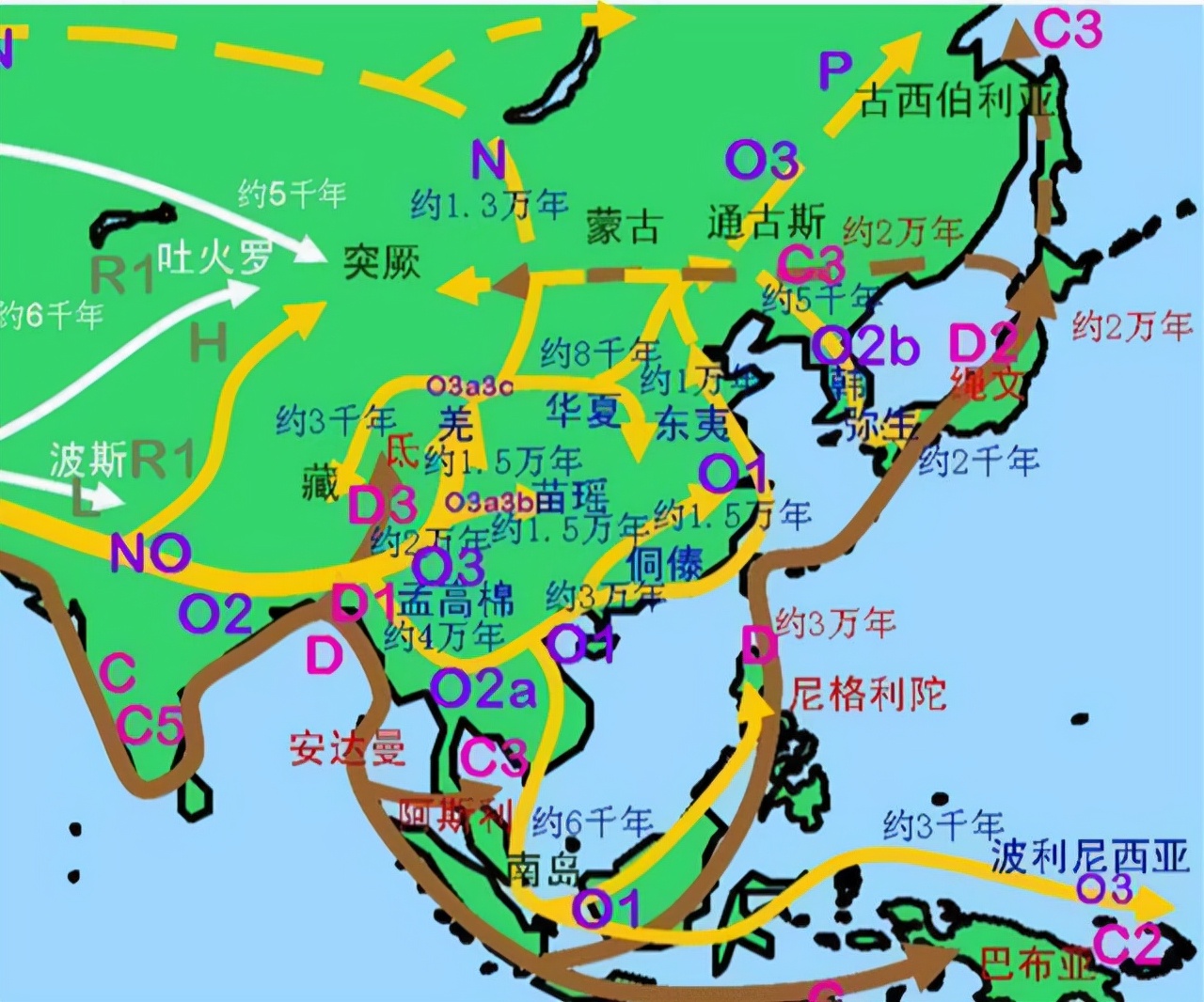 相隔十万八千里的芬兰人和中国人真是同宗兄弟吗