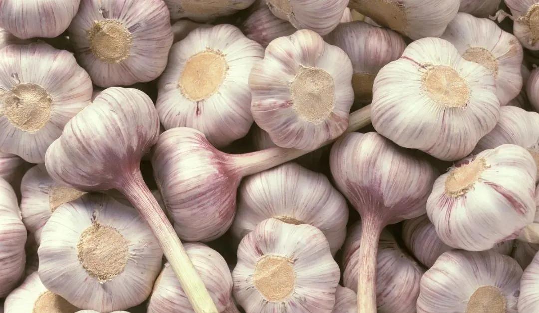 【战疫行动】黄州人,你下单代购的蔬果都是从哪里、怎么来的?——保供“战场”系列报道(四)