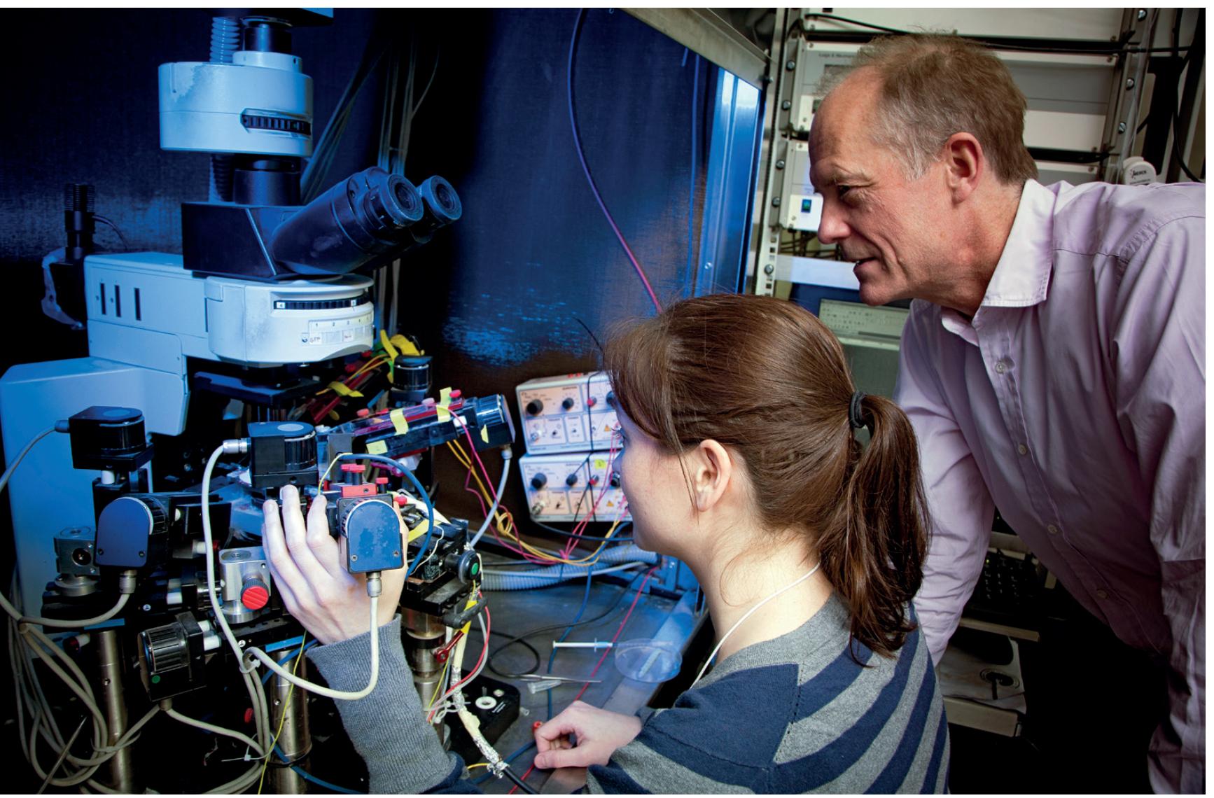 基因治疗癫痫最佳方法,癫痫的基因诊断结果