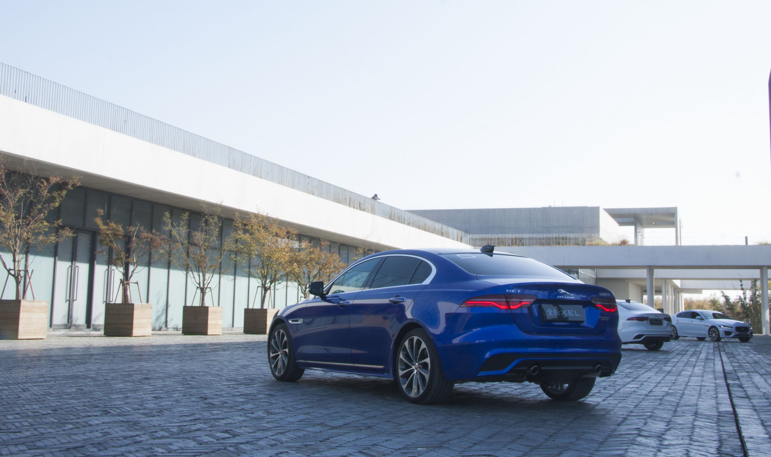 捷豹xel算小众车,捷豹xel小众吗