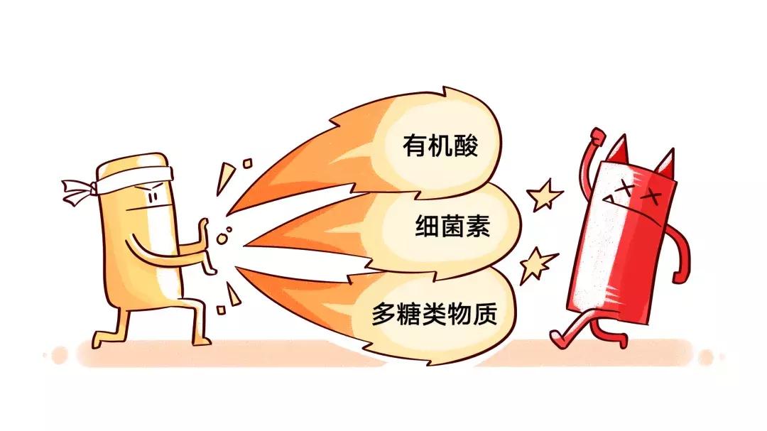 哪种牌子的益生菌好吸收又健康,便宜益生菌和贵的益生菌的区别