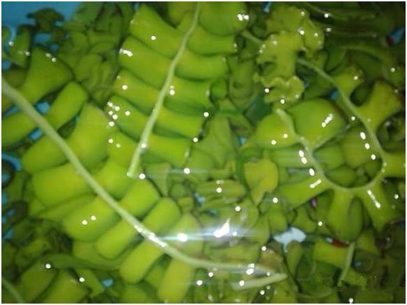 看图识海鲜，这些水产海鲜你都认识吗？