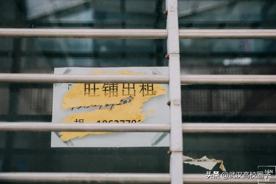 武汉疫情过后就业怎么样,疫情武汉做it行业现在前景