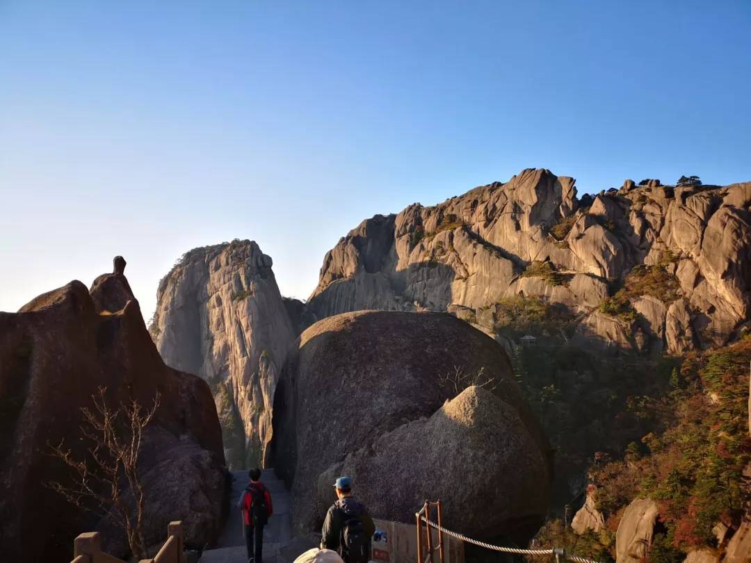 秋至黄山：当秋光与山色齐放