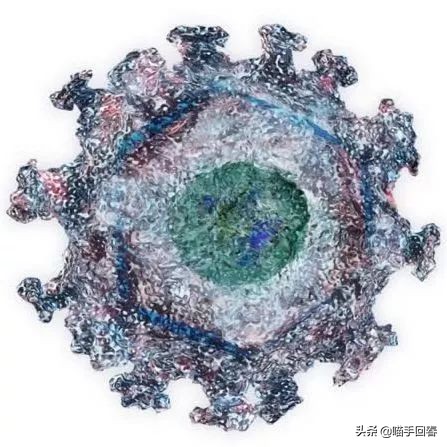 猫瘟和猫艾滋,艾滋猫是怎么回事