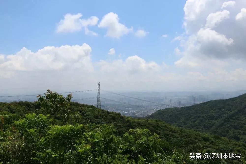 深圳完全免费的十大景点,深圳10大免费景点上集