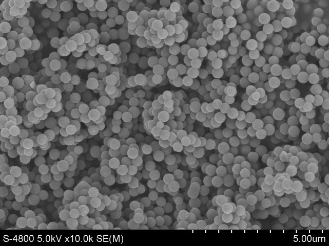 photoshop怎么给扫描电镜做标尺,用photoshop处理电镜图