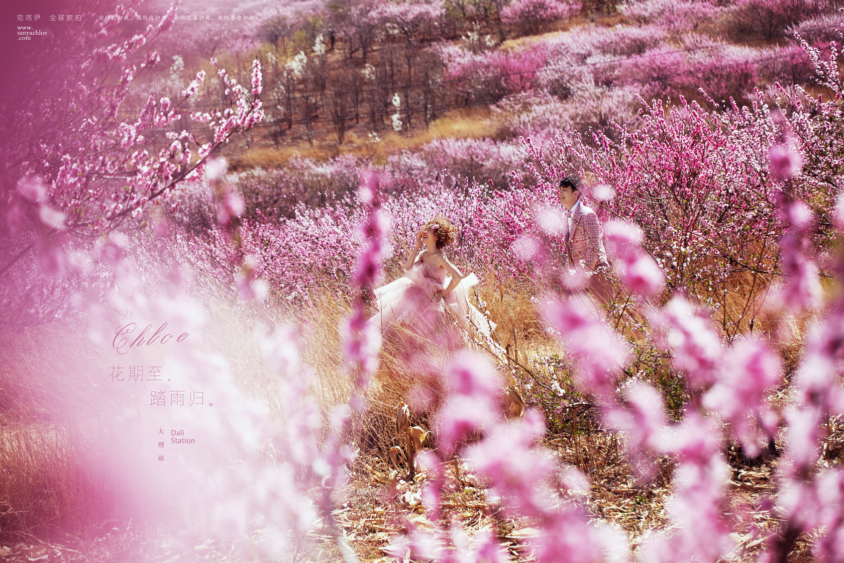 婚纱照风格推荐爱情,喜嫁风格婚纱照太好看了